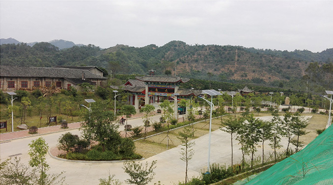 綠色能源的未來：太陽能庭院燈的發展