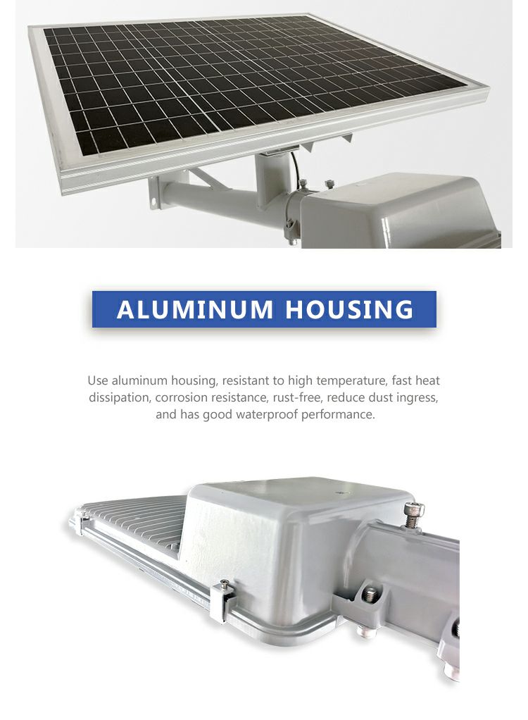 410 Dual body street lamp