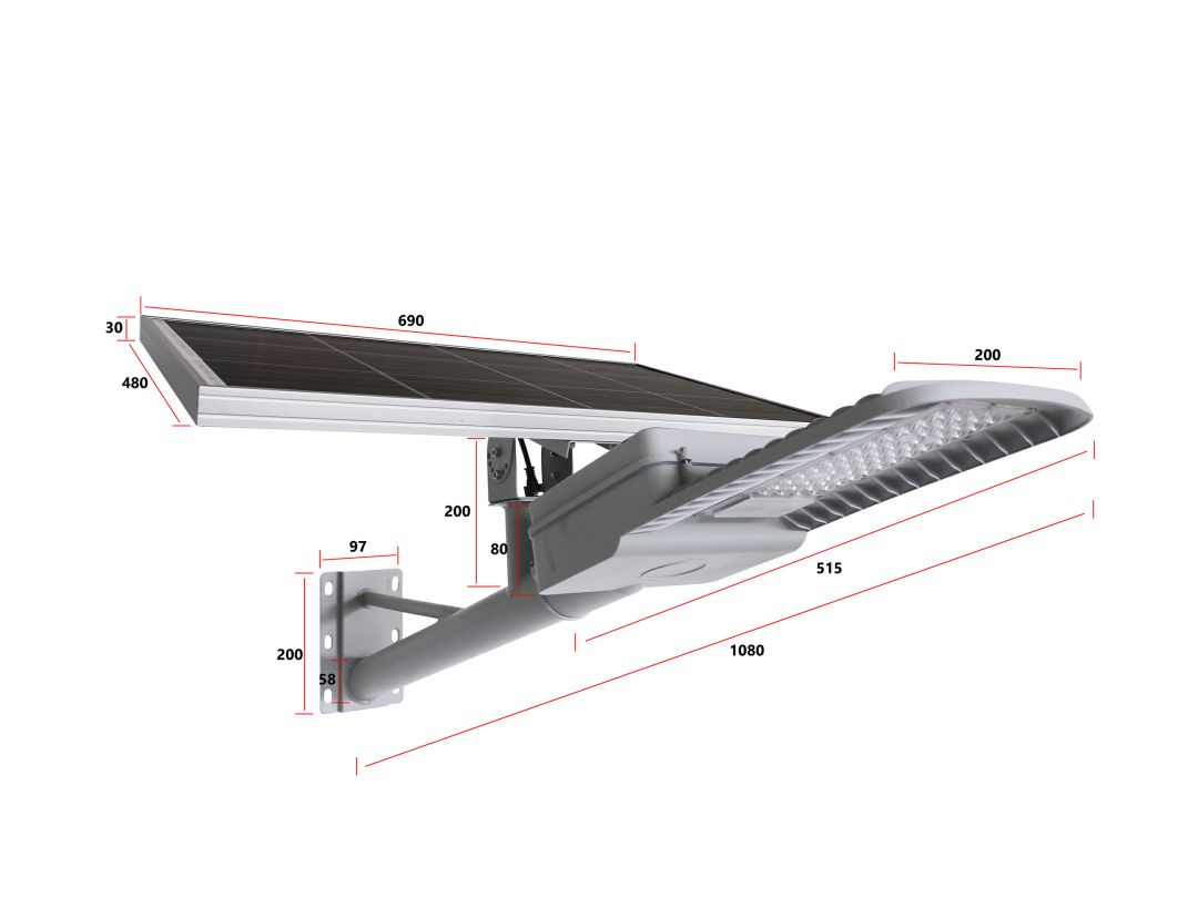 603 Dual body street lamp
